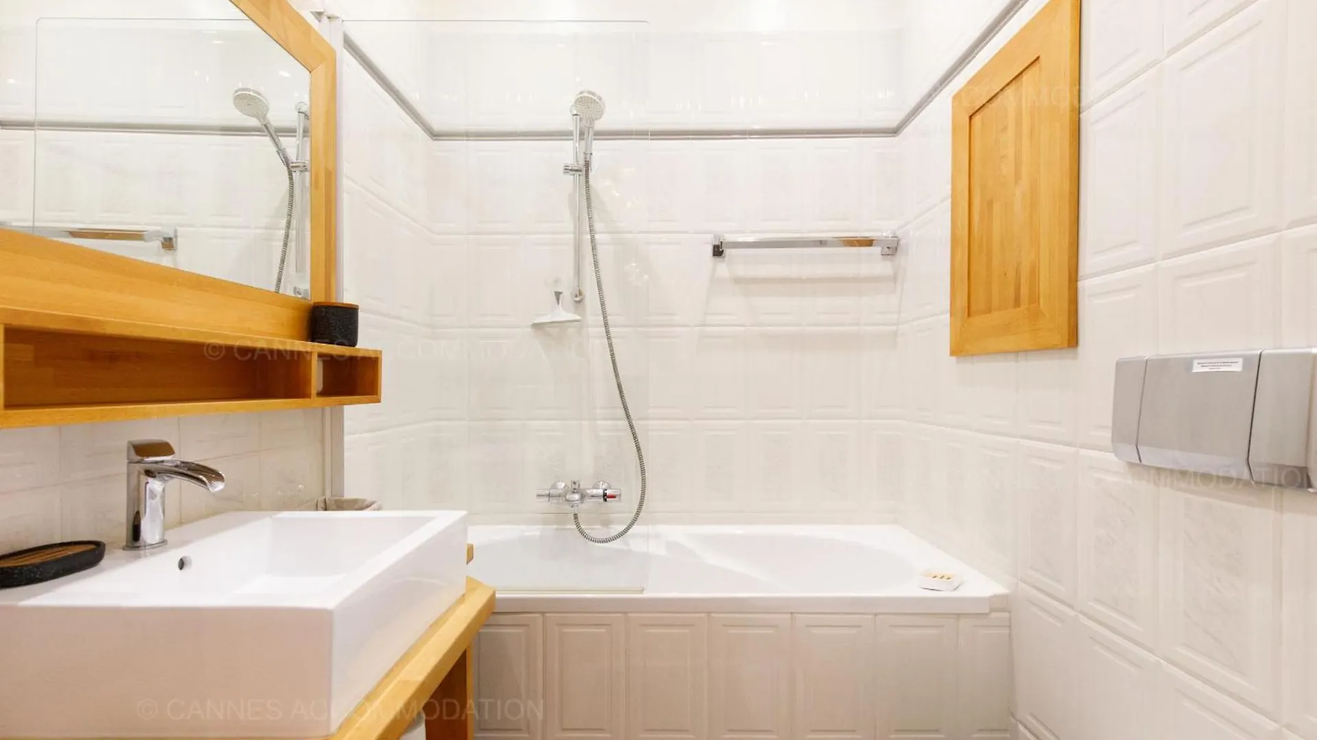 Ferte Apartment Cannes