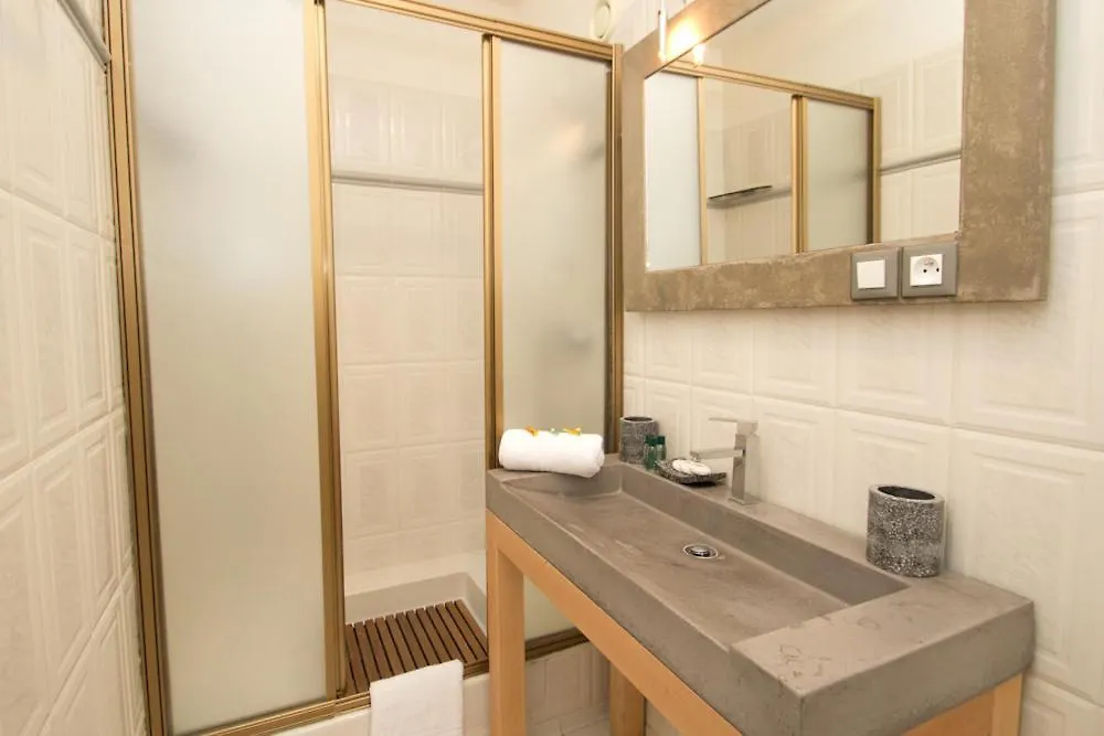 Ferte Apartment Cannes France